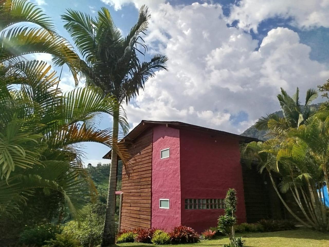 Gallito de las Rocas Guest House Jardín Exterior foto