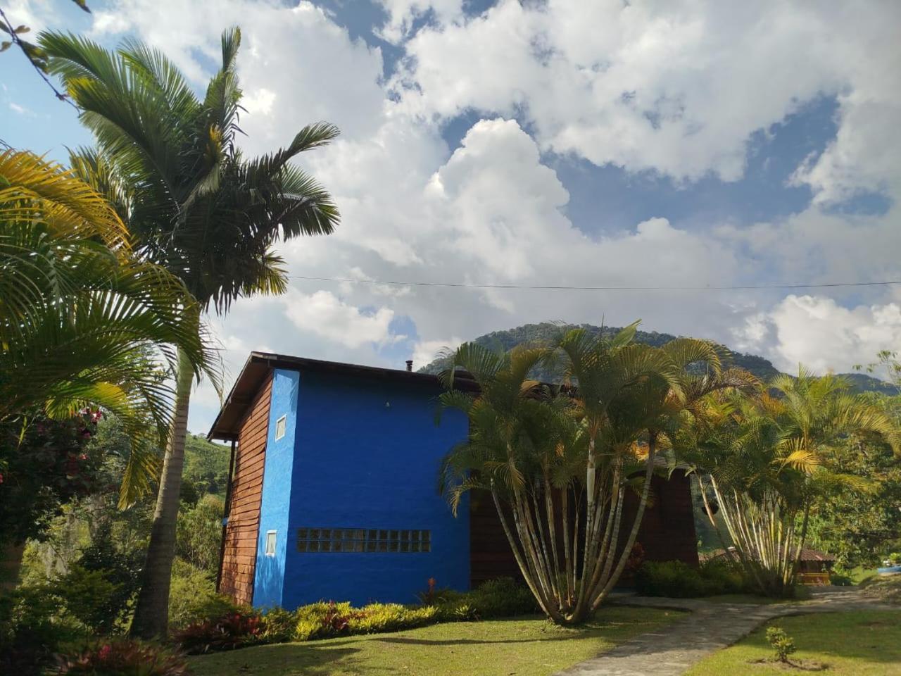 Gallito de las Rocas Guest House Jardín Exterior foto
