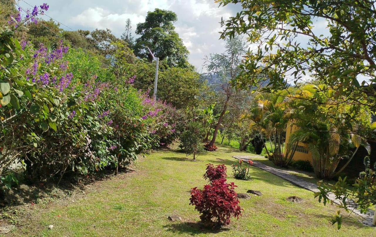 Gallito de las Rocas Guest House Jardín Exterior foto