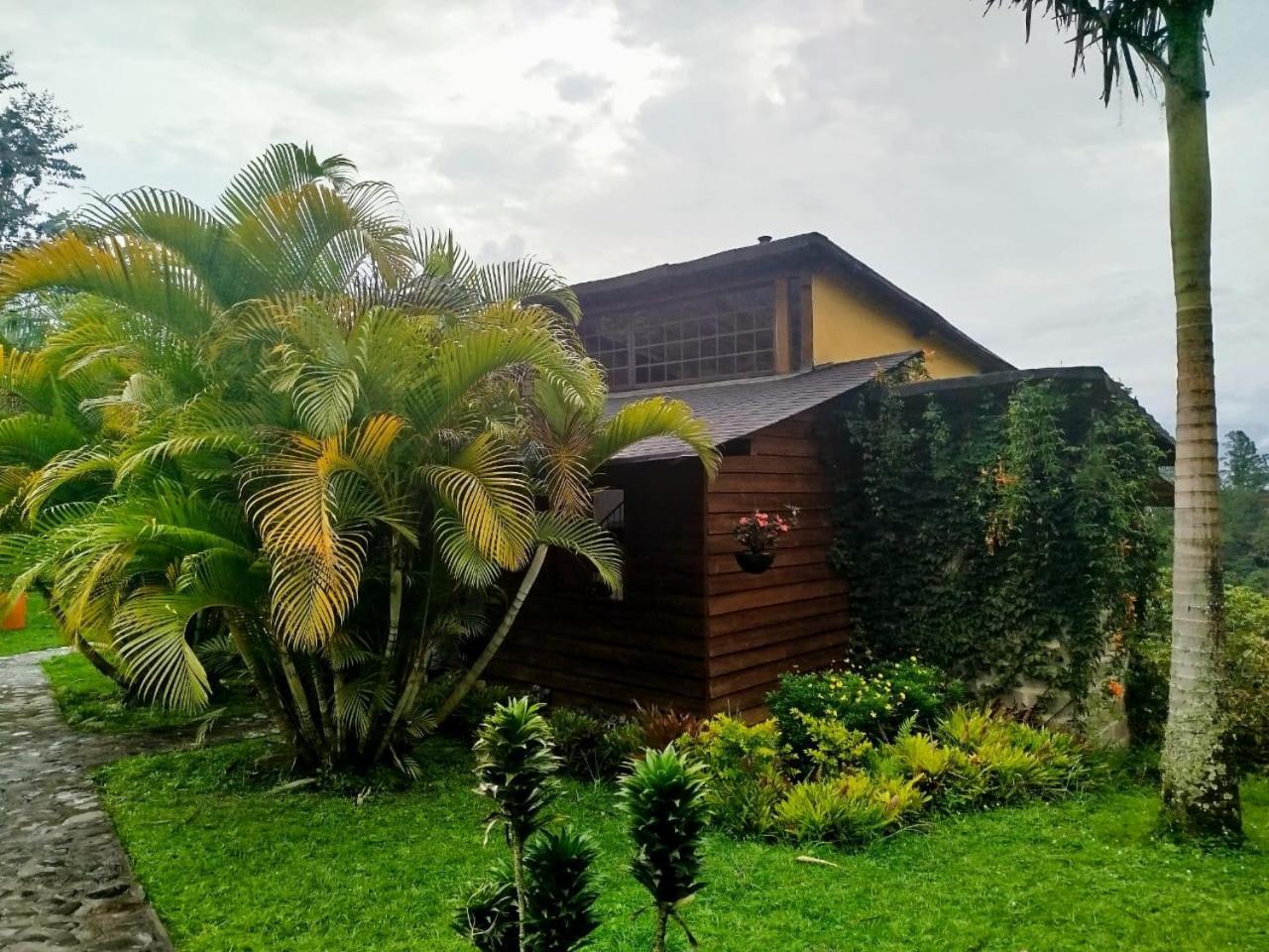Gallito de las Rocas Guest House Jardín Exterior foto