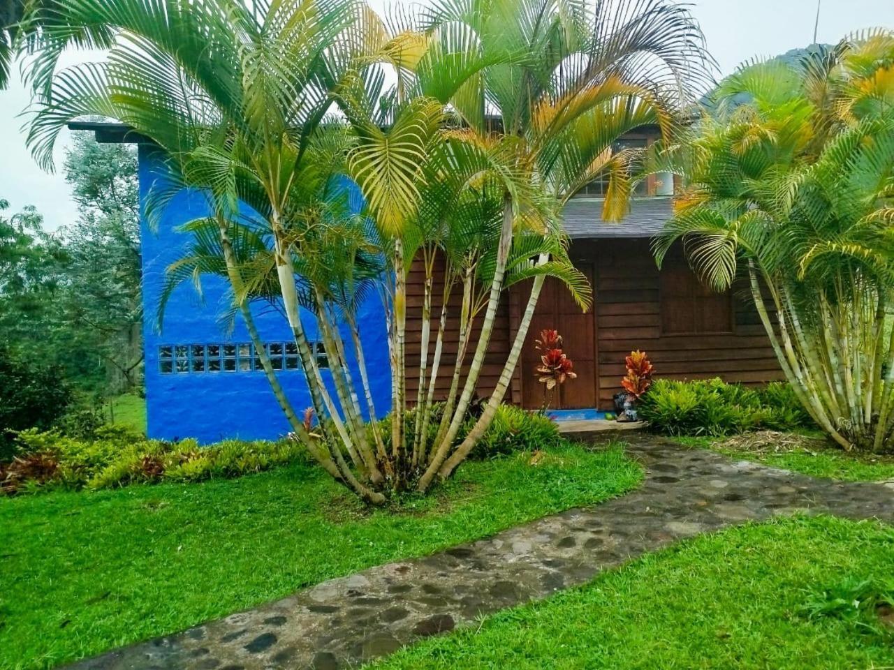 Gallito de las Rocas Guest House Jardín Exterior foto