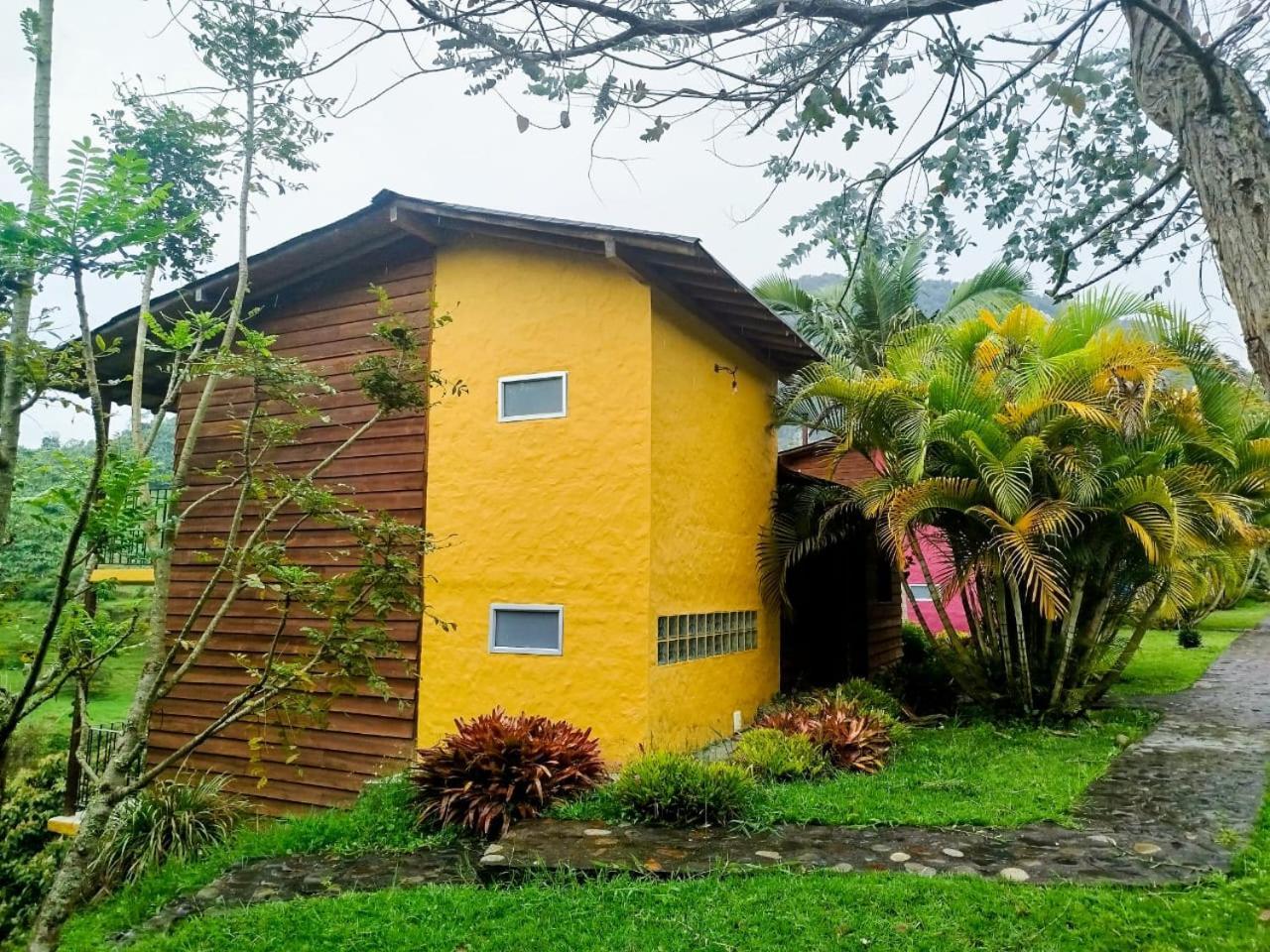 Gallito de las Rocas Guest House Jardín Exterior foto
