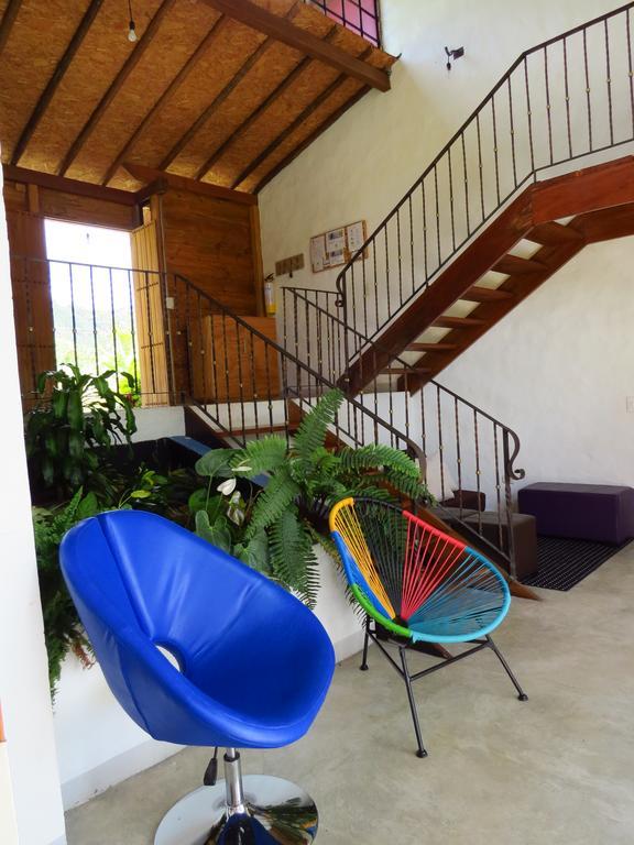 Gallito de las Rocas Guest House Jardín Exterior foto