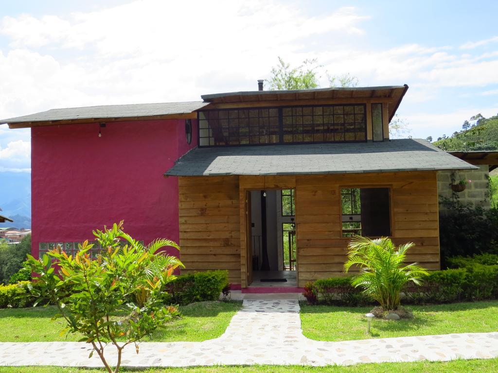 Gallito de las Rocas Guest House Jardín Exterior foto