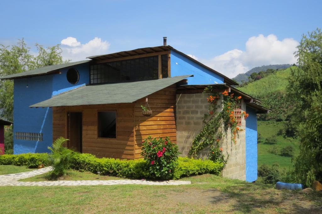 Gallito de las Rocas Guest House Jardín Exterior foto