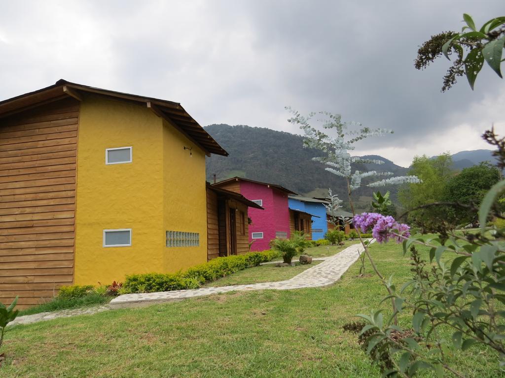 Gallito de las Rocas Guest House Jardín Exterior foto