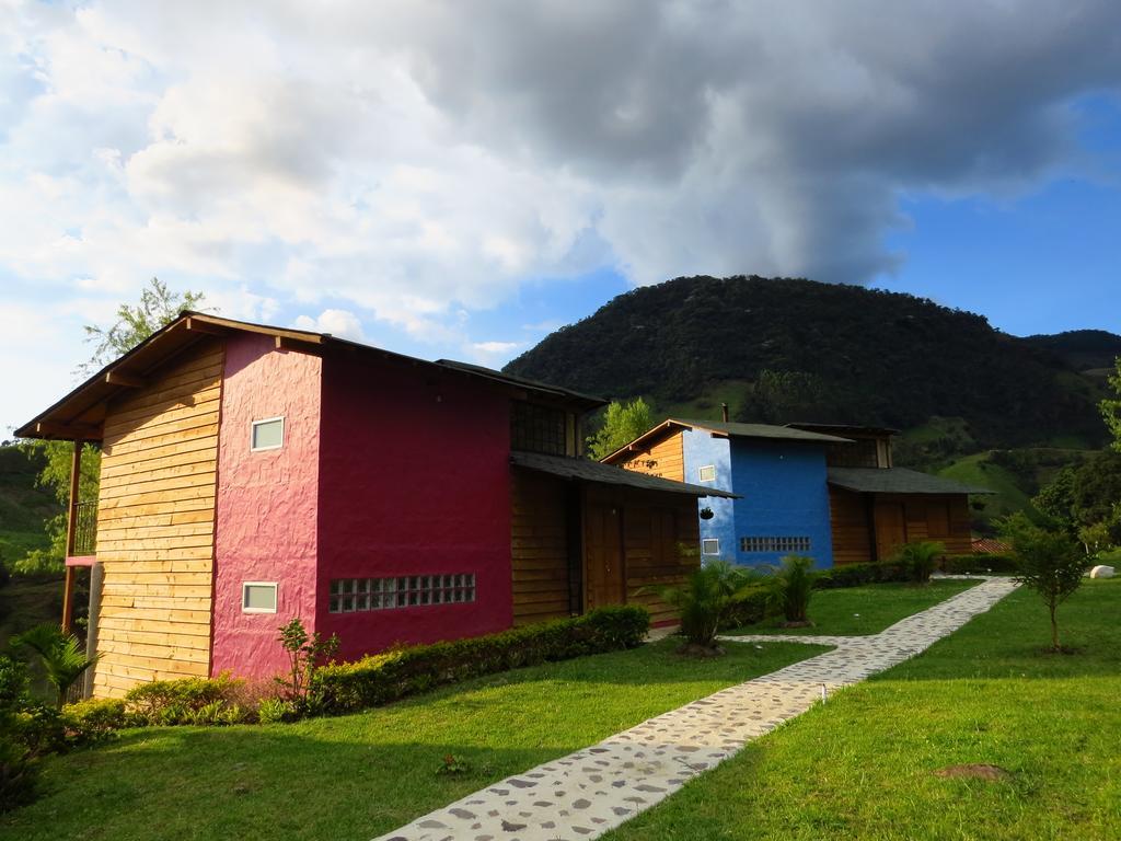 Gallito de las Rocas Guest House Jardín Exterior foto